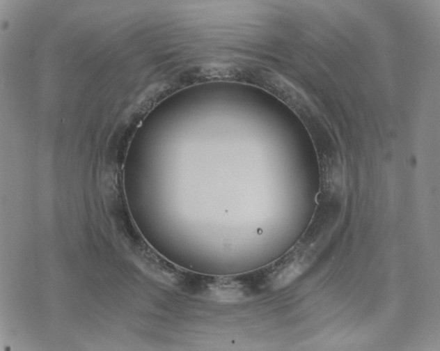 X0000073700603200608031216