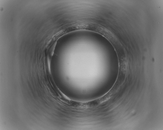 X0000073700604200608031216