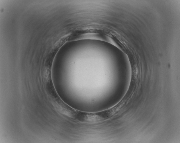 X0000073700605200608031216