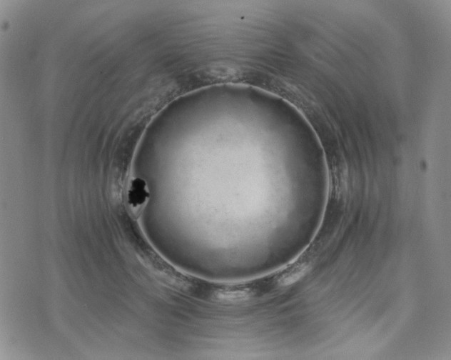 X0000073700606200608031216