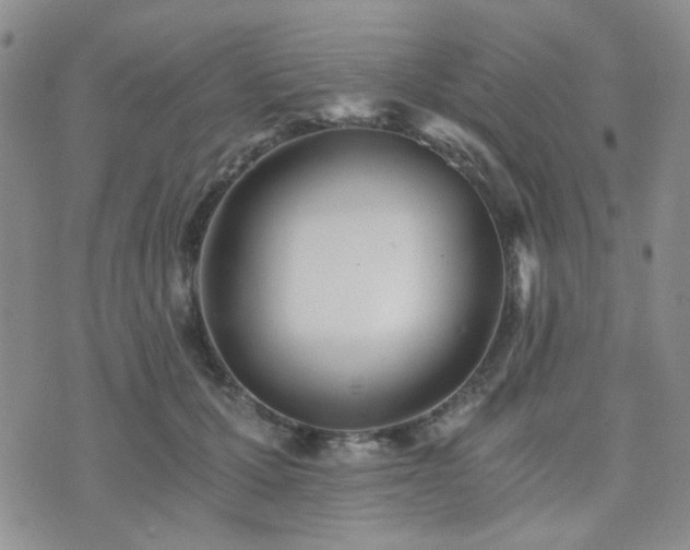 X0000073700607200608031216