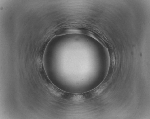 X0000073700609200608031216