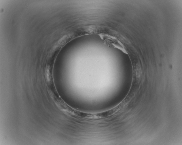 X0000073700611200608031216