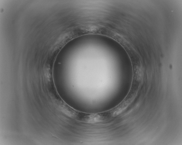 X0000073700612200608031216