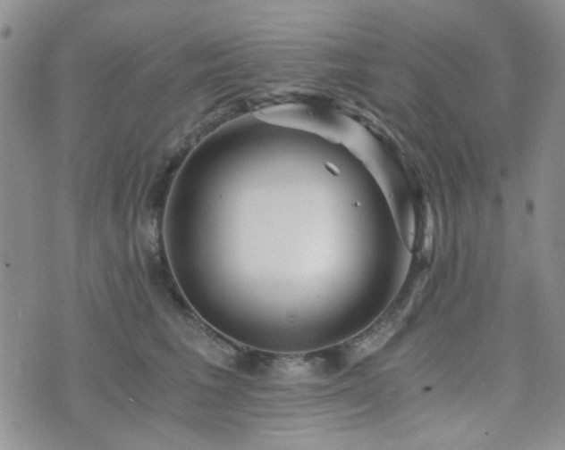 X0000073700613200608031216