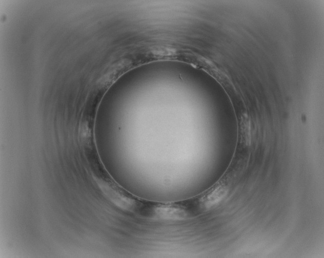 X0000073700614200608031216