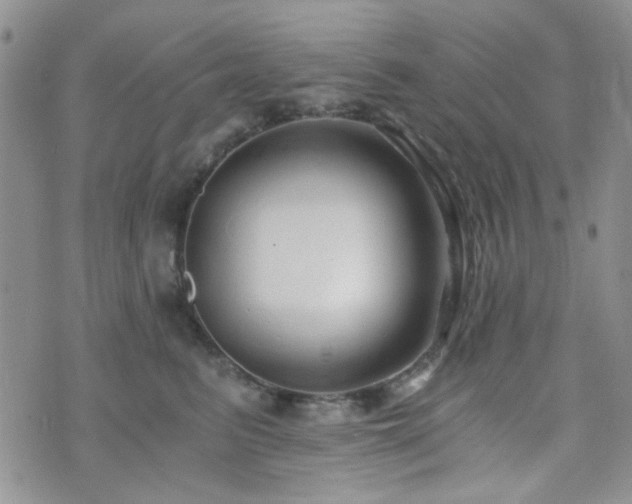 X0000073700615200608031216