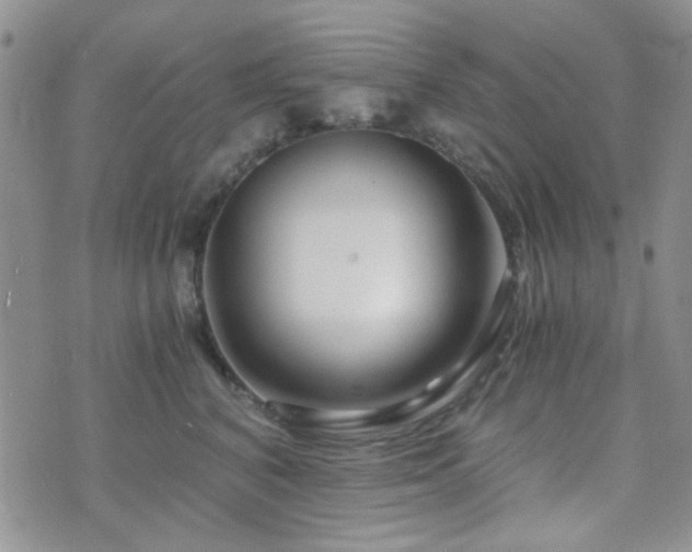 X0000073700616200608031216