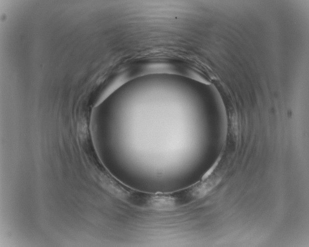 X0000073700617200608031216