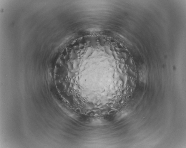 X0000073700618200608031216