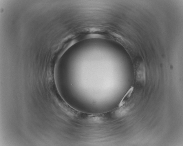 X0000073700620200608031216