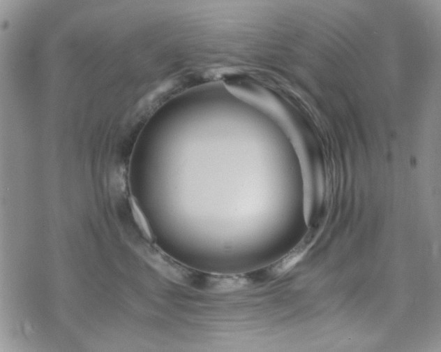 X0000073700621200608031216