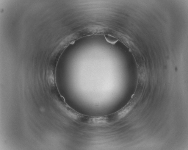 X0000073700622200608031216