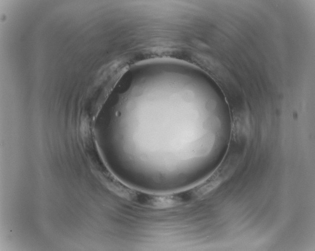 X0000073700623200608031216