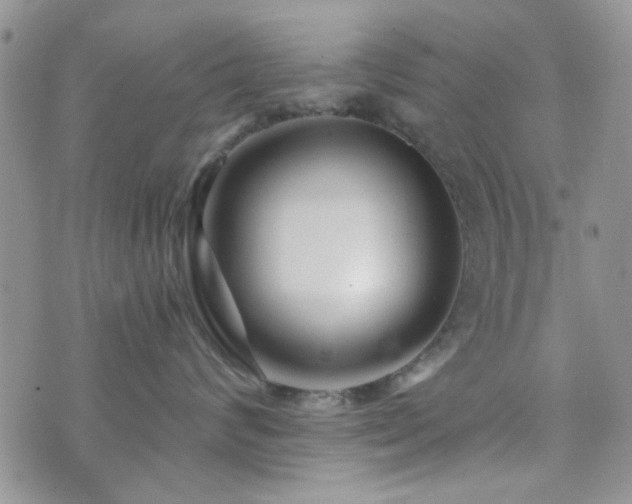 X0000073700624200608031216