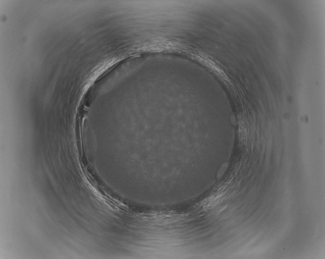 X0000073700626200608031215