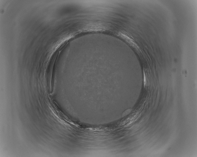 X0000073700627200608031215