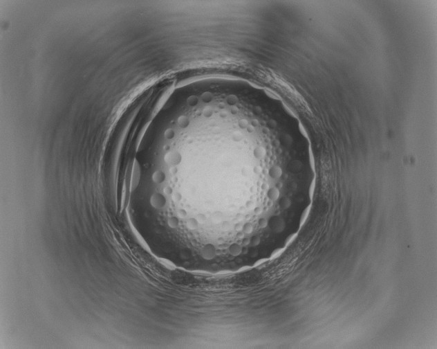 X0000073700628200608031215