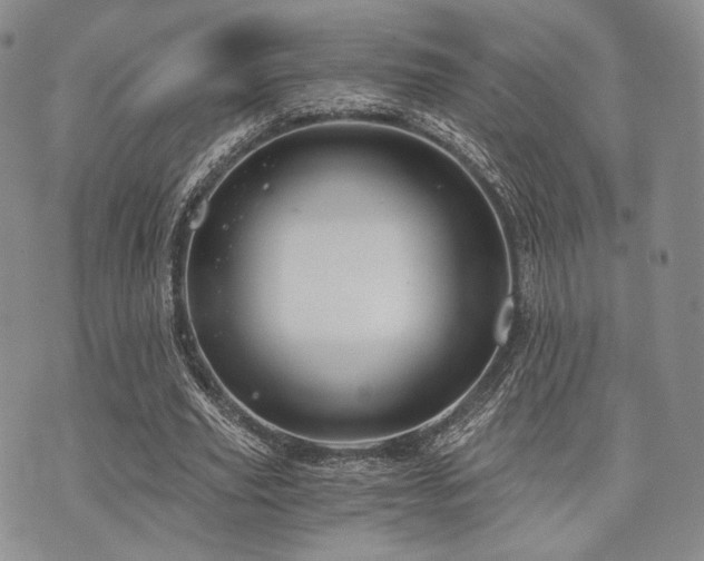 X0000073700629200608031215