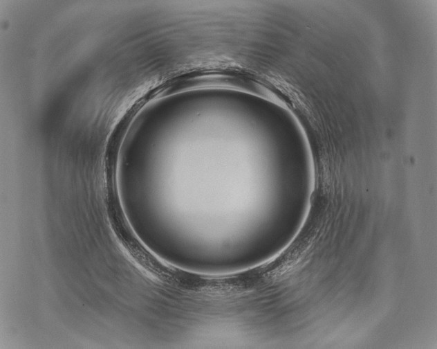 X0000073700630200608031215