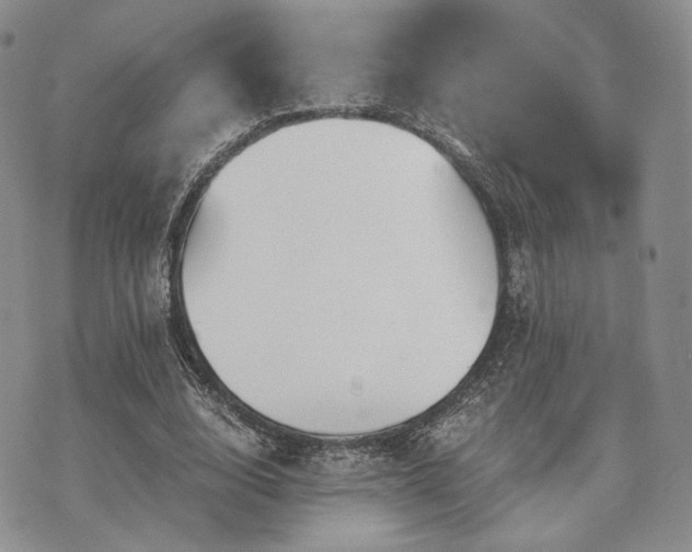 X0000073700632200608031215