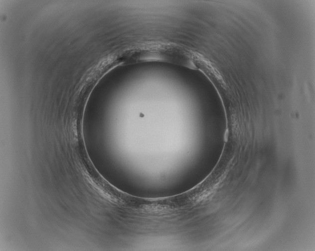 X0000073700633200608031215