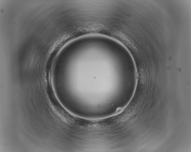 X0000073700634200608031215