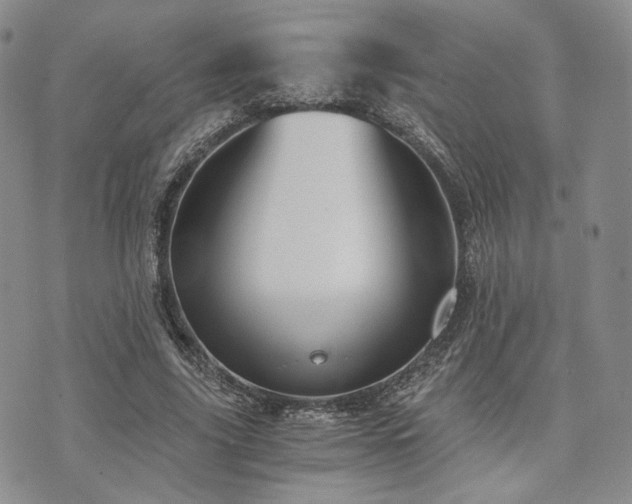 X0000073700635200608031215