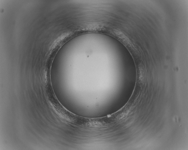 X0000073700636200608031215