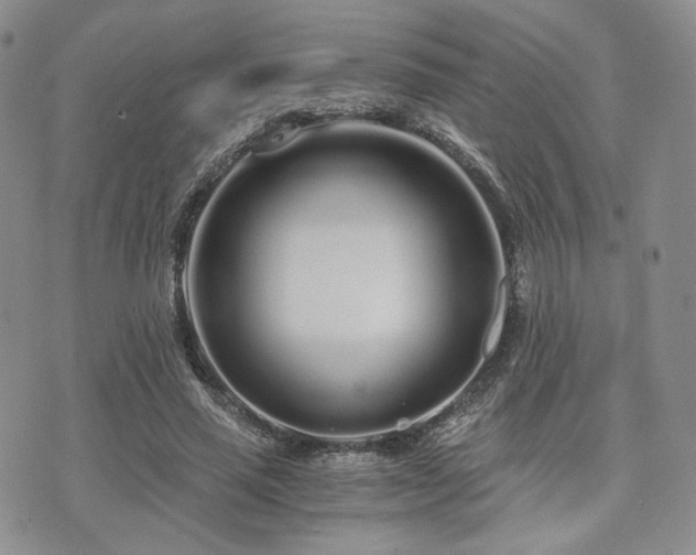 X0000073700637200608031215