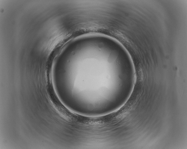 X0000073700638200608031215