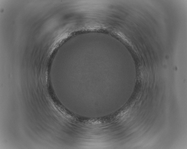 X0000073700640200608031215