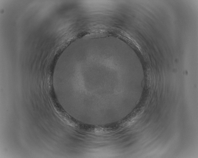 X0000073700641200608031215