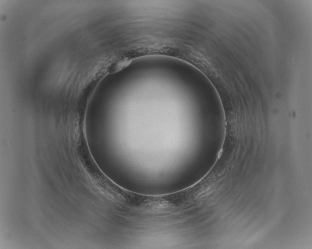 X0000073700642200608031215