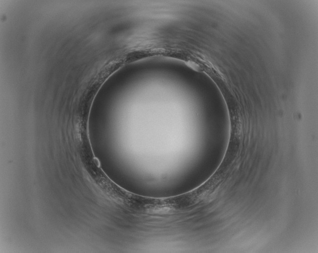 X0000073700643200608031215