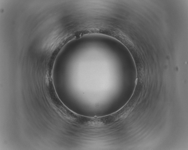 X0000073700644200608031215