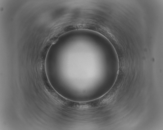 X0000073700645200608031215