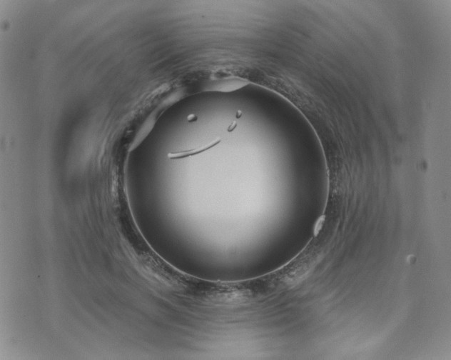 X0000073700646200608031215