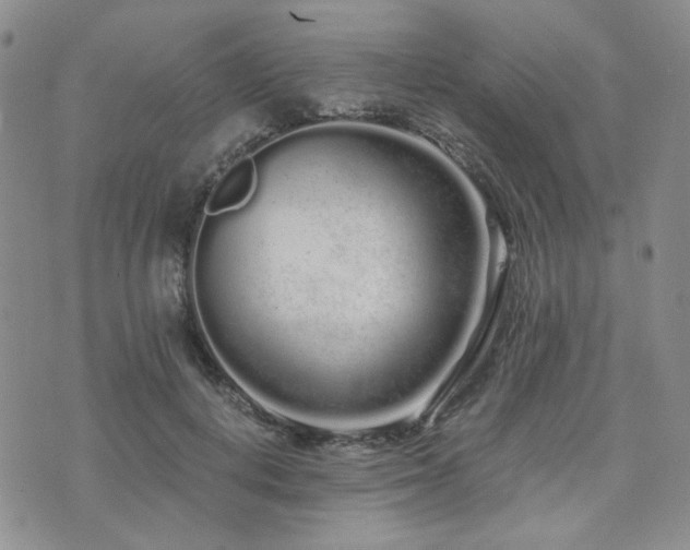 X0000073700648200608031215