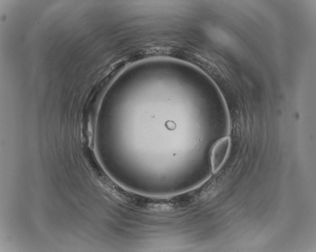 X0000073700649200608031216