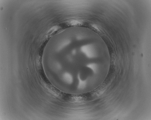 X0000073700650200608031216