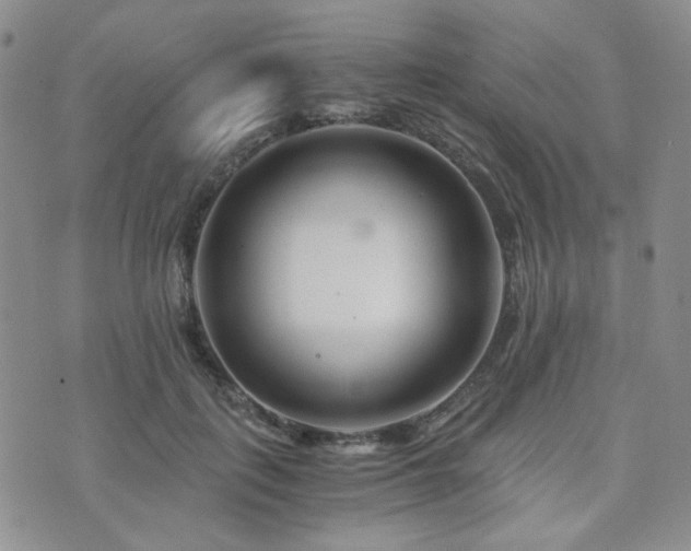 X0000073700651200608031216