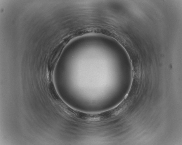 X0000073700653200608031216