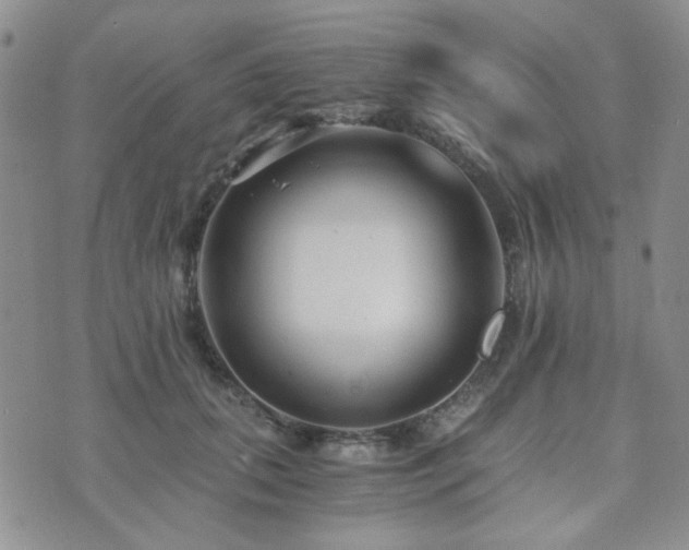 X0000073700655200608031216