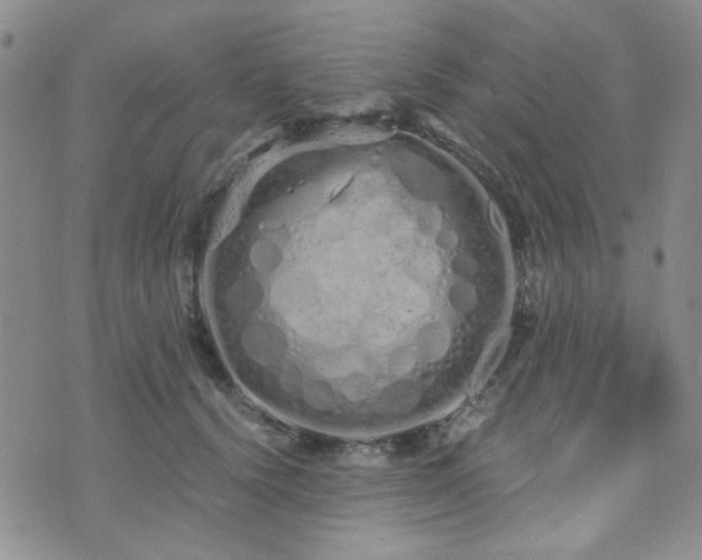 X0000073700656200608031216