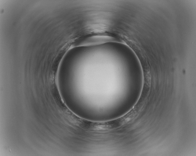 X0000073700657200608031216