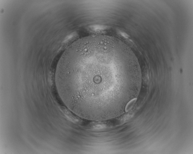 X0000073700658200608031216