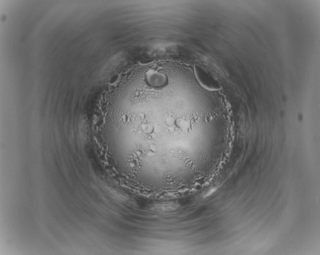 X0000073700659200608031216