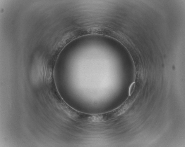 X0000073700660200608031216