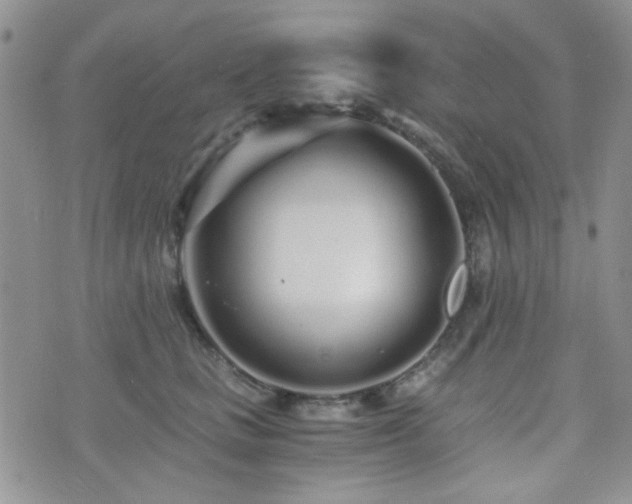 X0000073700661200608031216